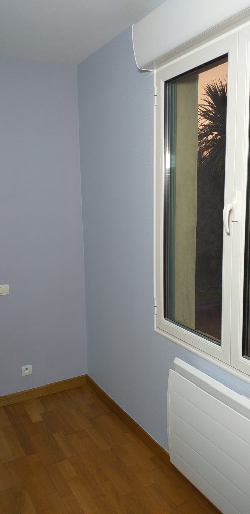 Rénovation après dégâts des eaux